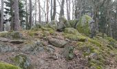 Trail Walking Barr - De Barr vers la ruine de Landsberg et Heiligenstein - Photo 20