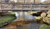 Excursión Senderismo Raon-aux-Bois - Boucle de Raon-aux-Bois - Photo 1