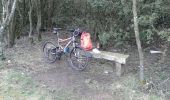Trail Mountain bike Guilherand-Granges - guilherand-st peray-tracol-st peray-Cornas-guilherand - Photo 2