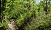 Trail Walking Esneux - RB-Lg-21_Chaudfontaine_via-racc-1 - Photo 1