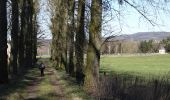 Trail Walking Raeren - RB-Lg-30_Hauset - Photo 1