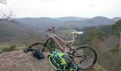Tocht Mountainbike Climbach - le rocher des Corbeaux.  - Photo 2