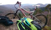 Trail Mountain bike Climbach - le rocher des Corbeaux.  - Photo 1