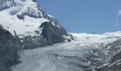 Randonnée Marche Zermatt - Sunnegga - Flue - Riffelalp - Zermatt  - Photo 2