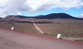 Tour Wandern Saint-Joseph - La Réunion - Boucle de la Plaine des sables par l'Oratoire Sainte-Thérèse - Photo 6