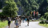 Randonnée Marche Innertkirchen - Les gorges de l''Aar / Chutes du Reichenbach - Photo 3