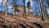 Tocht Stappen Wingen - les trois châteaux  - Photo 17