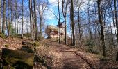 Tocht Stappen Wingen - les trois châteaux  - Photo 16