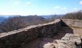 Randonnée Marche Wingen - les trois châteaux  - Photo 14