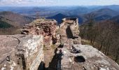 Randonnée Marche Wingen - les trois châteaux  - Photo 11