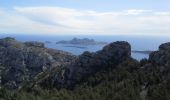 Trail Walking Marseille - sommet de Marseilleveyre par les Goudes - Photo 3