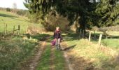 Trail Walking Lierneux - lierneux 20 - Photo 14