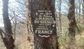 Tour Wandern Rignac - maquis de guesclins rignac - Photo 9