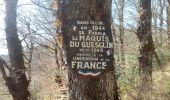 Trail Walking Rignac - maquis de guesclins rignac - Photo 9