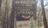 Tour Wandern Rignac - maquis de guesclins rignac - Photo 7