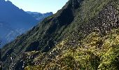 Excursión Senderismo Saint-Paul - Sentier du rempart depuis le belvédère du Maïdo - Photo 2