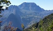 Excursión Senderismo Saint-Paul - Sentier du rempart depuis le belvédère du Maïdo - Photo 6