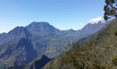 Excursión Senderismo Saint-Paul - Sentier du rempart depuis le belvédère du Maïdo - Photo 8