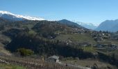 Randonnée Marche Sion - Bisse de Lentine 04.2015 - Photo 2