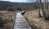 Tocht Stappen Saint-Sernin-du-Bois - Saint Sernin du bois - Photo 8