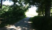 Trail Walking Verdelais - Verdelais boucle n1 1h30 7km - Photo 8