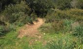 Trail Other activity Lumio - --Lumio-- OR-4531456:02. Coastering San'Ambroghju - Petra Muna CRA2015 - Photo 3