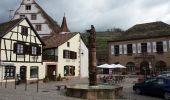 Tour Wandern Andlau - Depuis Andlau vers le village viticole de Mittelbergheim - Photo 16