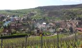 Trail Walking Andlau - Depuis Andlau vers le village viticole de Mittelbergheim - Photo 15
