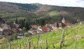Trail Walking Andlau - Depuis Andlau vers le village viticole de Mittelbergheim - Photo 14