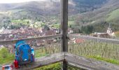 Trail Walking Andlau - Depuis Andlau vers le village viticole de Mittelbergheim - Photo 11