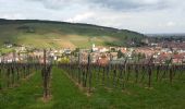 Trail Walking Andlau - Depuis Andlau vers le village viticole de Mittelbergheim - Photo 3