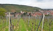 Tour Wandern Andlau - Depuis Andlau vers le village viticole de Mittelbergheim - Photo 2