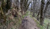 Trail Walking Mont - Saint Calixte - Photo 6