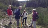 Excursión Senderismo Lierneux - lierneux 15 pierrot - Photo 4