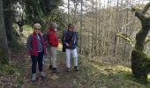 Trail Walking Lierneux - lierneux 15 pierrot - Photo 11