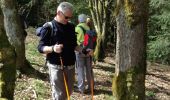 Tocht Stappen Lierneux - lierneux 15 pierrot - Photo 14