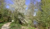 Trail Walking Beauvallon - veore - Photo 5