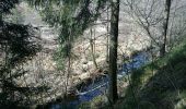 Tocht Stappen La Roche-en-Ardenne - Réserve de Bellemeuse  - Photo 8