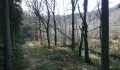 Trail Walking La Roche-en-Ardenne - Réserve de Bellemeuse  - Photo 6