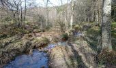 Tour Wandern La Roche-en-Ardenne - Réserve de Bellemeuse  - Photo 4