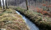 Randonnée Marche La Roche-en-Ardenne - Réserve de Bellemeuse  - Photo 2