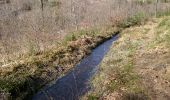 Randonnée Marche La Roche-en-Ardenne - Réserve de Bellemeuse  - Photo 1