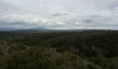 Tour Wandern Quinson - La Grotte  de  Quinson   - Photo 3