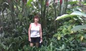 Percorso Marcia Deshaies - jardin botanique de deshaies - Photo 9