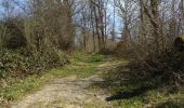 Trail Walking Houyet - custinne 18 - Photo 1
