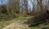 Tour Wandern Houyet - custinne 18 - Photo 1