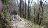 Trail Walking Tenneville - Cens  - Photo 9