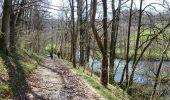 Trail Walking Tenneville - Cens  - Photo 8
