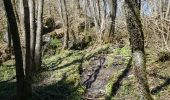 Trail Walking Tenneville - Cens  - Photo 3