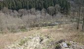 Trail Walking Tenneville - Cens  - Photo 1